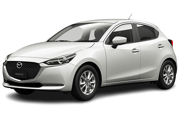 Economy Auto Hatch