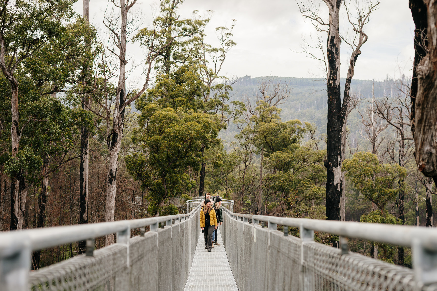 Cheap car rental Tasmania LoCost Auto Rent